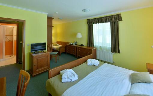 Spa Resort Libverda - Hotel Lesní Zátiší 1168522481