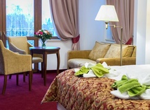 Hotel Buczyński Medical & Spa 1169035539